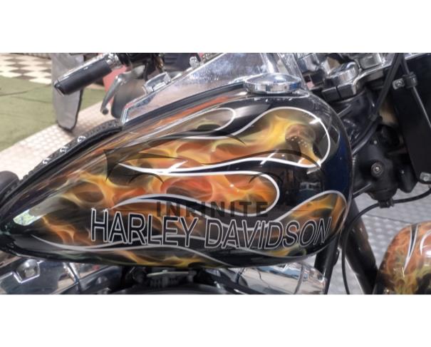 Foto de HARLEY DAVIDSON FAT BOY 2009
