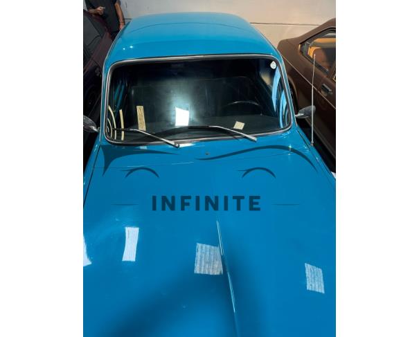 Foto de VW TL 1972